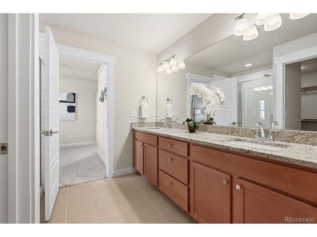 218 E Chestnut St 4, Windsor, CO 80550