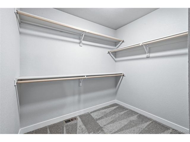 218 E Chestnut St 4, Windsor, CO 80550