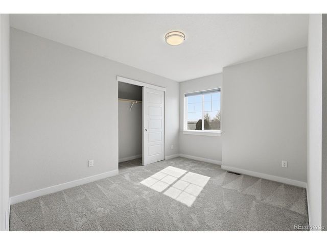 218 E Chestnut St 4, Windsor, CO 80550