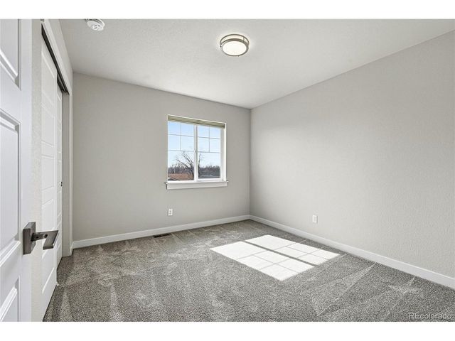 218 E Chestnut St 4, Windsor, CO 80550