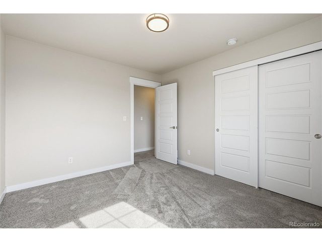 218 E Chestnut St 4, Windsor, CO 80550