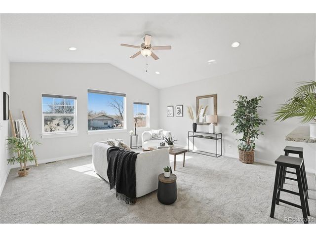 218 E Chestnut St 4, Windsor, CO 80550