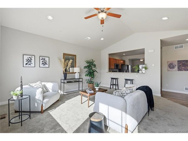 218 E Chestnut St 4, Windsor, CO 80550