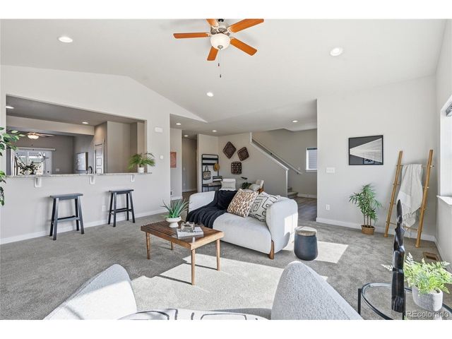 218 E Chestnut St 4, Windsor, CO 80550