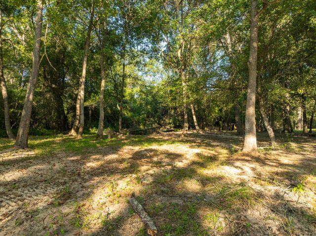 TBD County Road 750, Thornton, TX 76687