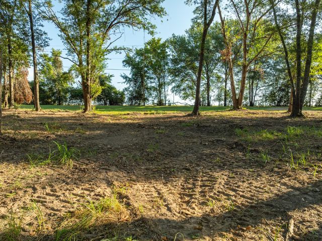 TBD County Road 750, Thornton, TX 76687