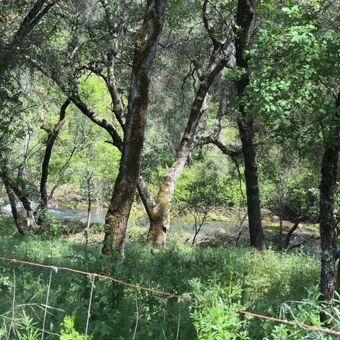 17689 Brewer Rd, Grass Valley, CA 95949