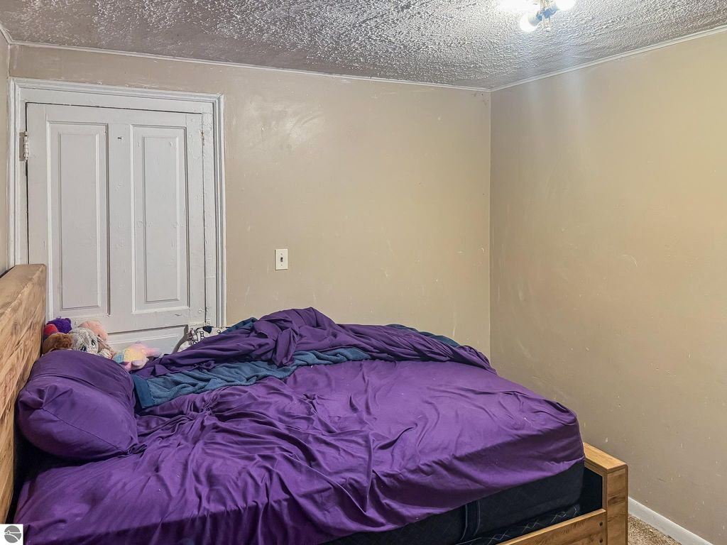 Image 40 of property listing at 319 W Saginaw Street, St Louis, MI 48880