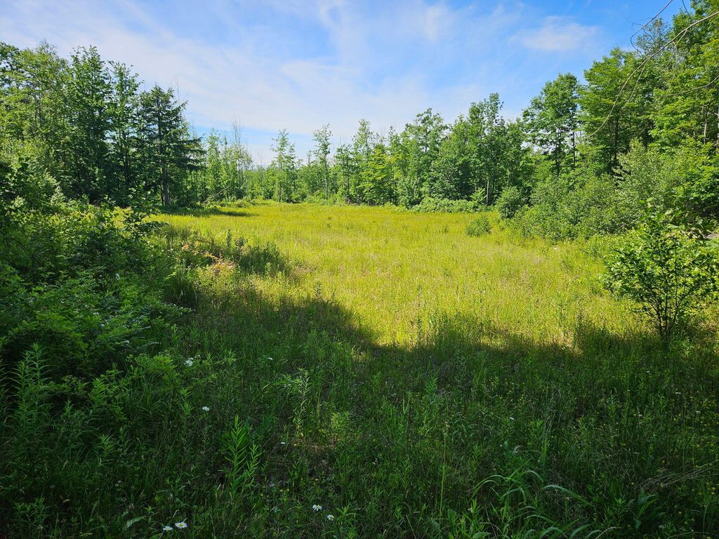 579 Maple Ridge Road, Harrison, ME 04040 — exterior