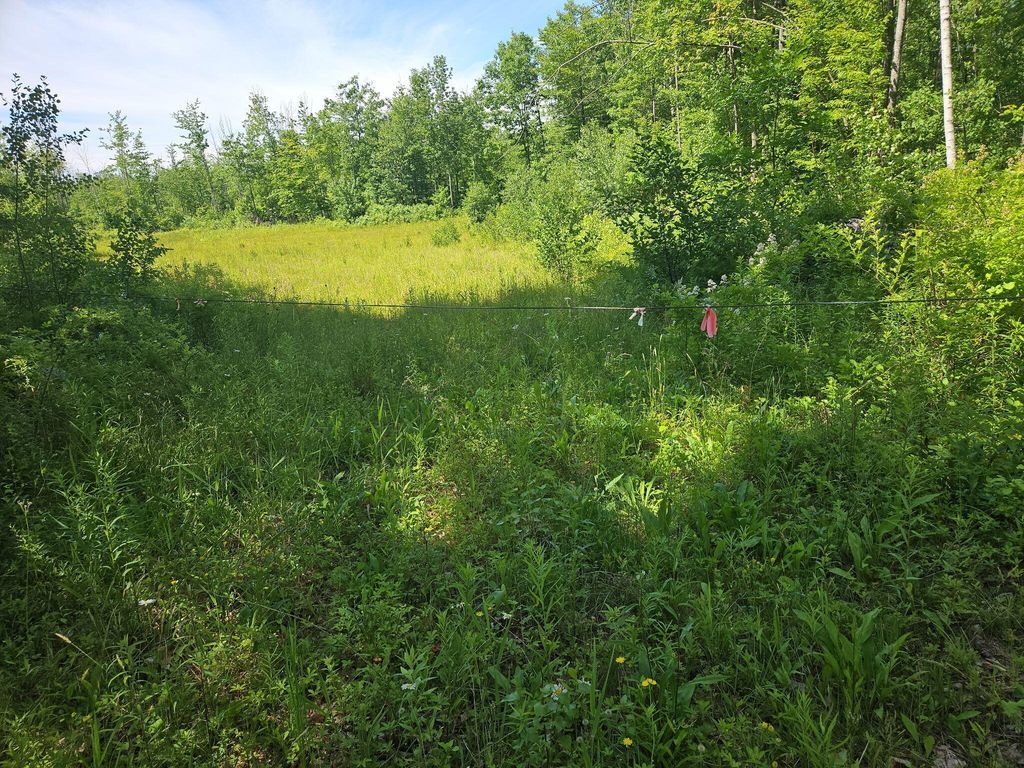 579 Maple Ridge Road, Harrison, ME 04040 — photo 2