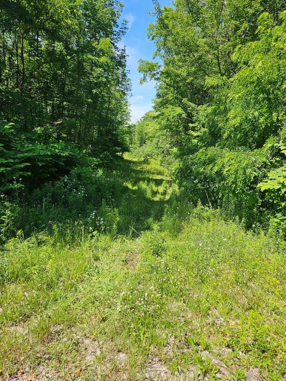 579 Maple Ridge Road, Harrison, ME 04040 — photo 3
