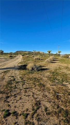 59787 Sharp Terrace, Joshua Tree, CA 92284