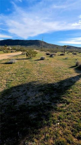 59787 Sharp Terrace, Joshua Tree, CA 92284