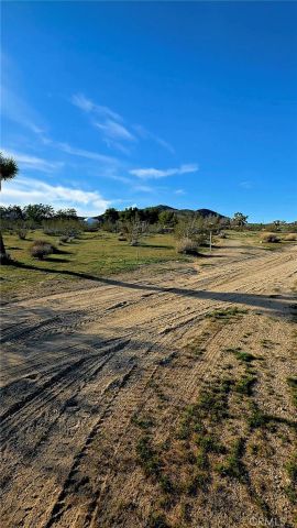 59787 Sharp Terrace, Joshua Tree, CA 92284