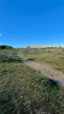 59787 Sharp Terrace, Joshua Tree, CA 92284