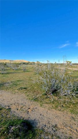 59787 Sharp Terrace, Joshua Tree, CA 92284