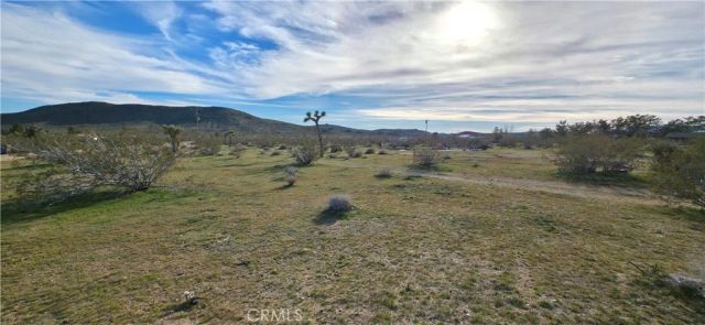 59787 Sharp Terrace, Joshua Tree, CA 92284