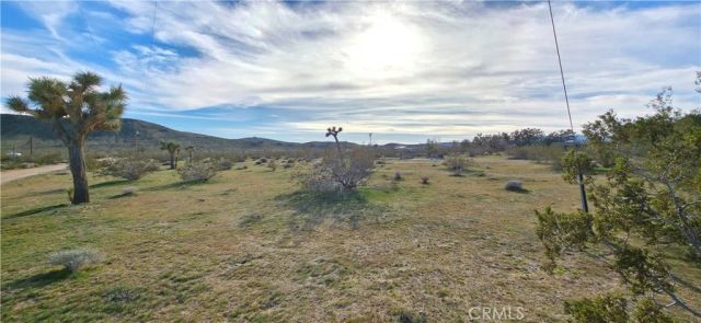59787 Sharp Terrace, Joshua Tree, CA 92284