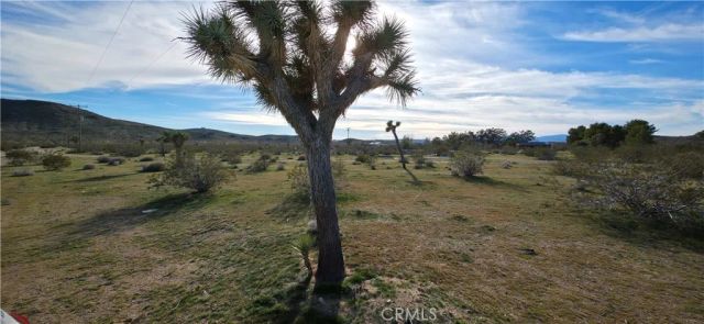 59787 Sharp Terrace, Joshua Tree, CA 92284