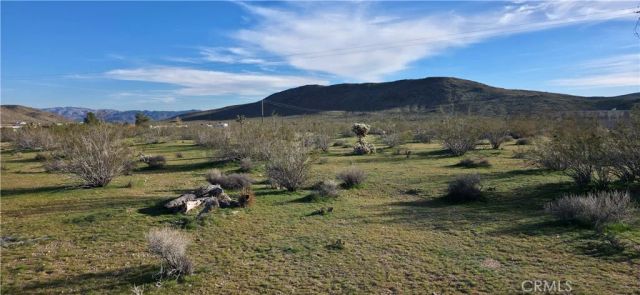 59787 Sharp Terrace, Joshua Tree, CA 92284