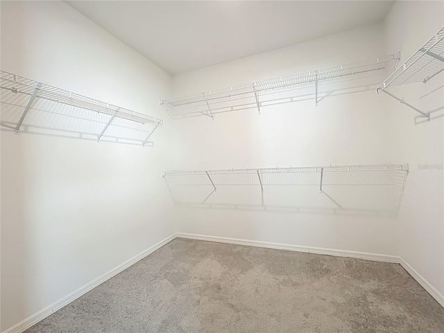 341 LAKE DOE BOULEVARD, Apopka, FL 32703