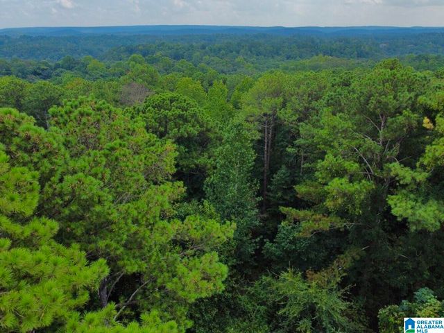 4251 CEDAR STREET, Birmingham, AL 35210