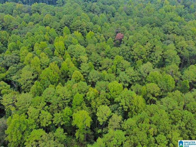 4251 CEDAR STREET, Birmingham, AL 35210