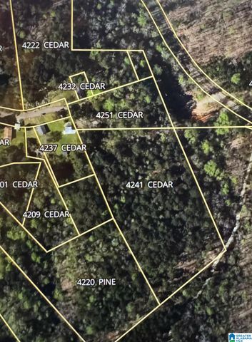 4251 CEDAR STREET, Birmingham, AL 35210