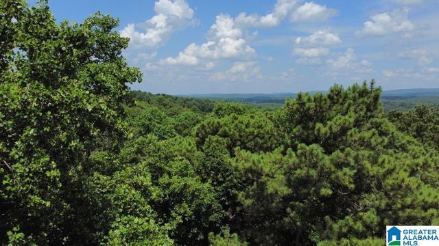 4251 CEDAR STREET, Birmingham, AL 35210