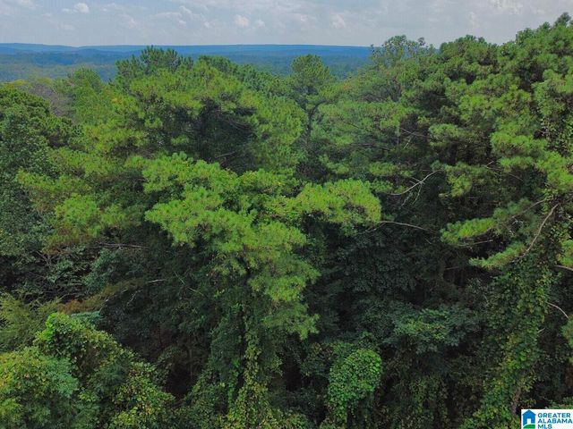 4251 CEDAR STREET, Birmingham, AL 35210