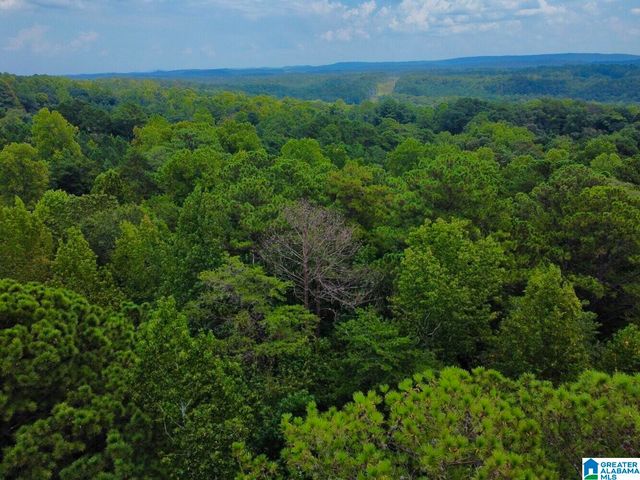 4251 CEDAR STREET, Birmingham, AL 35210