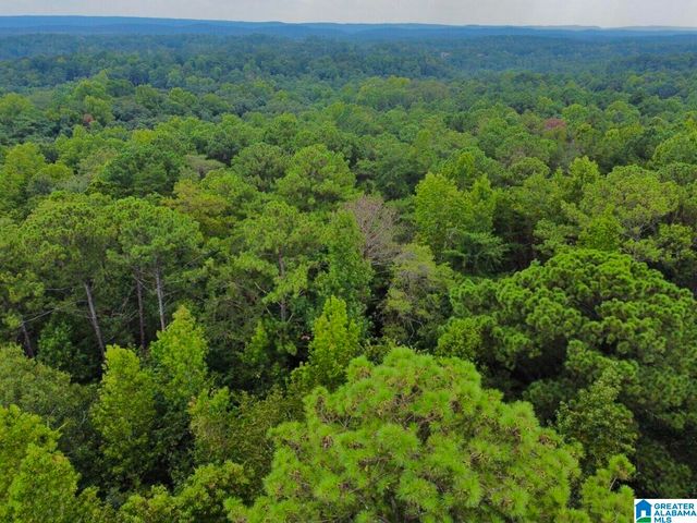 4251 CEDAR STREET, Birmingham, AL 35210