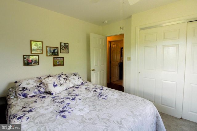4250 PALMYRA CHURCH RD, Edinburg, VA 22824