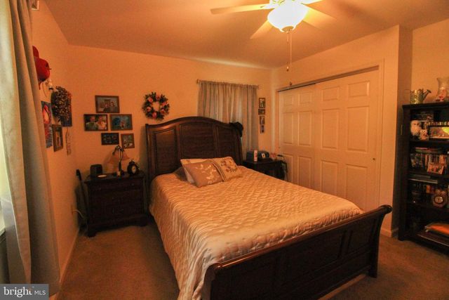 4250 PALMYRA CHURCH RD, Edinburg, VA 22824
