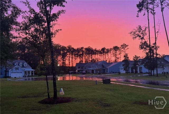 14 Kellet Court, Richmond Hill, GA 31324