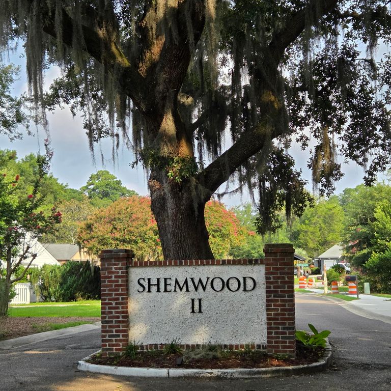 1005 Jack Snipe Lane, Mount Pleasant, SC 29464