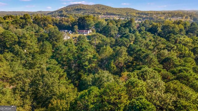 230 Apple Branch Drive, Woodstock, GA 30188