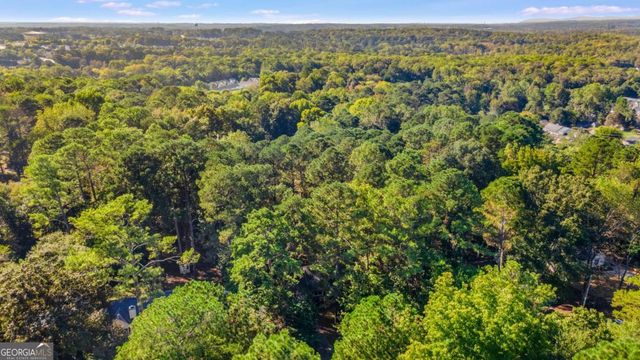 230 Apple Branch Drive, Woodstock, GA 30188