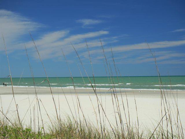 9820 Queensway Blvd Apt 1502, Myrtle Beach, SC 29572