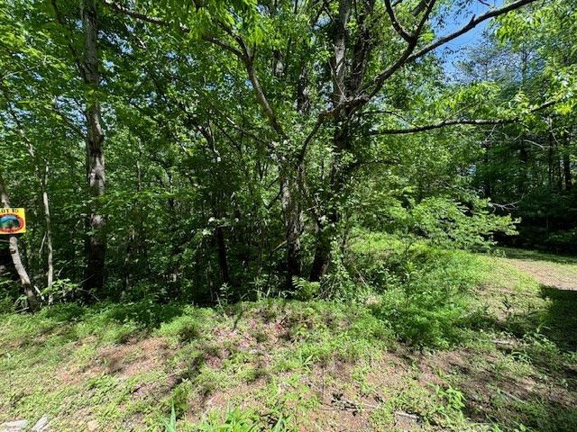 Lot 15 Paradise, Marble, NC 28905