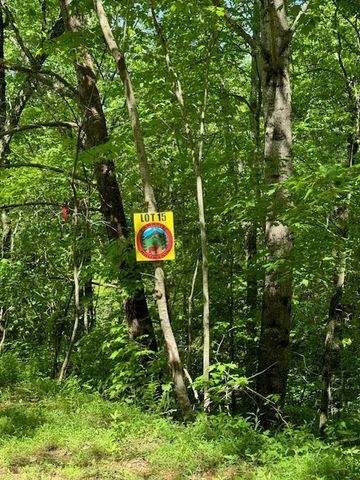 Lot 15 Paradise, Marble, NC 28905