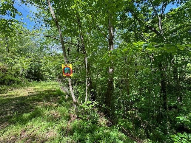 Lot 15 Paradise, Marble, NC 28905