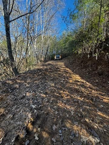 Lot 15 Paradise, Marble, NC 28905