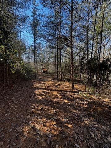 Lot 15 Paradise, Marble, NC 28905