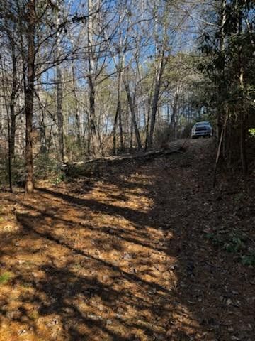 Lot 15 Paradise, Marble, NC 28905