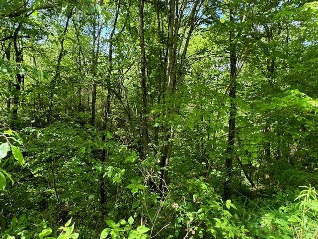 Lot 15 Paradise, Marble, NC 28905