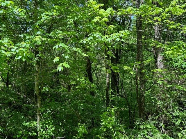 Lot 15 Paradise, Marble, NC 28905