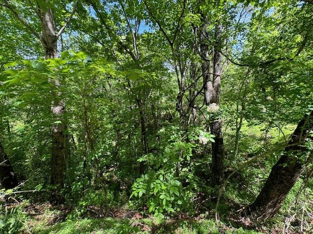 Lot 15 Paradise, Marble, NC 28905