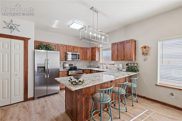 1113 Browning Avenue, Woodland Park, CO 80863