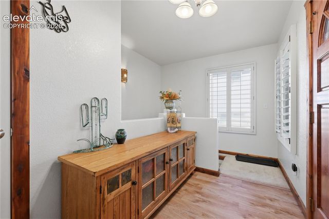 1113 Browning Avenue, Woodland Park, CO 80863